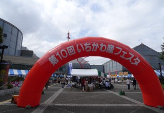 pic_column03_01